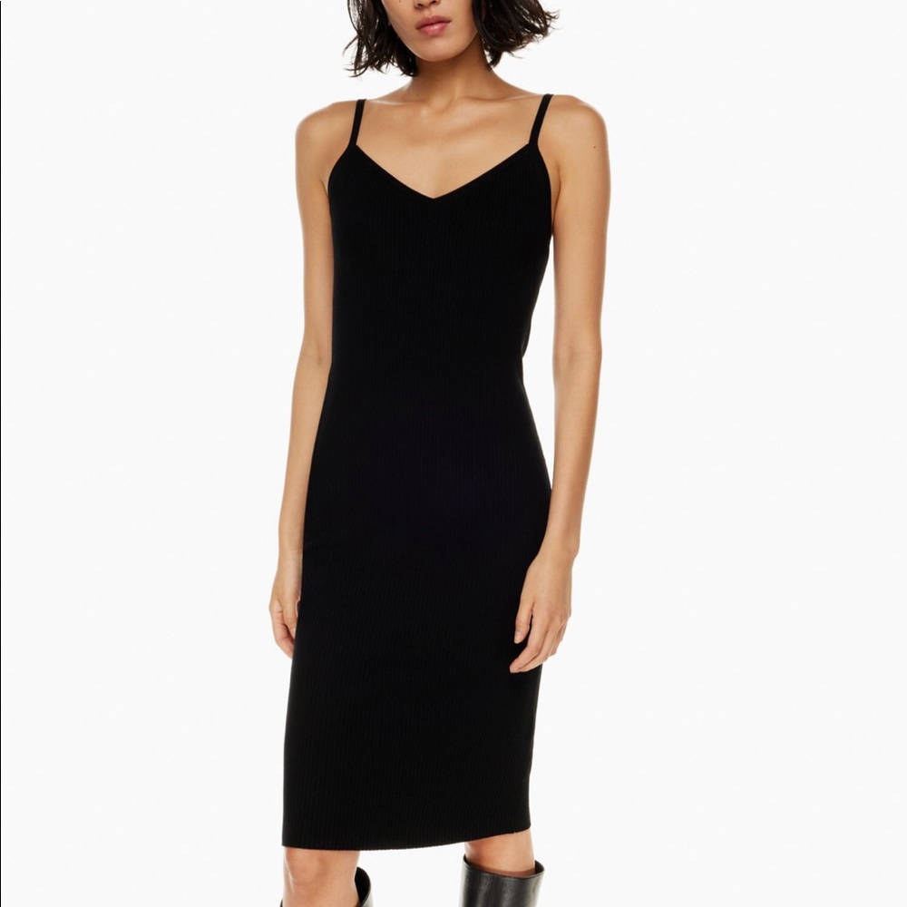 Aritzia Waltz Dress